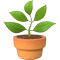Flower pot emoji